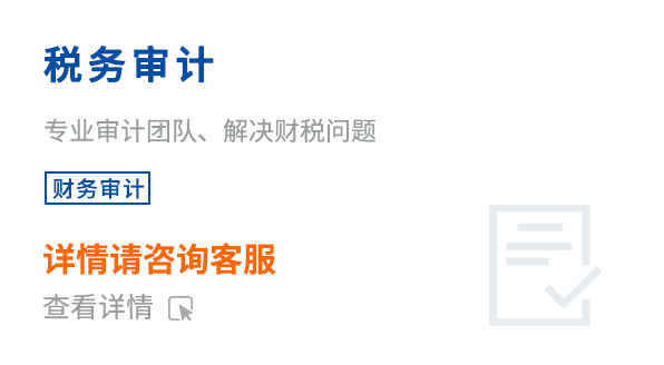 稅務(wù)審計(jì)